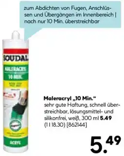 Hellweg SOUDAL Maleracryl „10 Min." Angebot