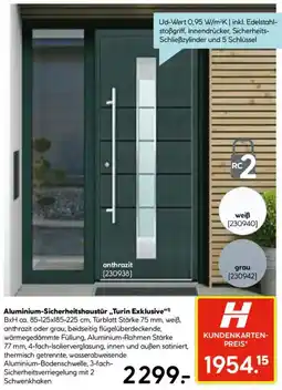 Hellweg Aluminium-Sicherheitshaustür ,,Turin Exklusive" Angebot