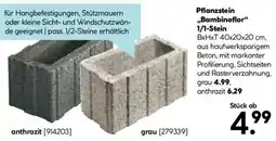 Hellweg Pflanzstein ,,Bambinoflor" 1/1-Stein Angebot
