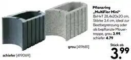 Hellweg Pflanzring ,,MultiFlor Mini" Angebot
