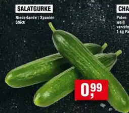 Handelshof SALATGURKE Angebot