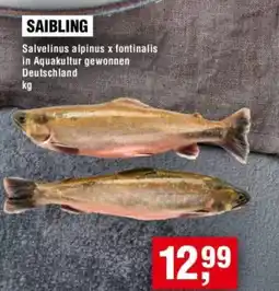 Handelshof SAIBLING Angebot