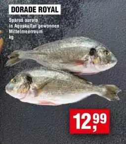 Handelshof DORADE ROYAL Angebot