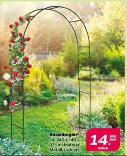 NETTO Rosenbogen Angebot