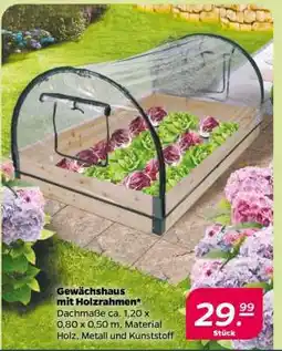 NETTO Gewächshaus mit Holzrahmen Angebot