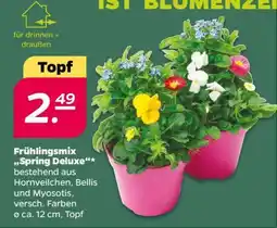 NETTO Frühlingsmix 'Spring Deluxe' Angebot