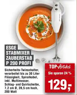 Handelshof ESGE STABMIXER ZAUBERSTAB P 200 PROFI Angebot