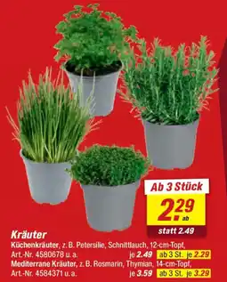toom Baumarkt Kräuter Angebot