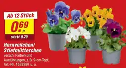 toom Baumarkt Hornveilchen/ Stiefmütterchen Angebot