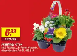 toom Baumarkt Frühlings-Tray Angebot