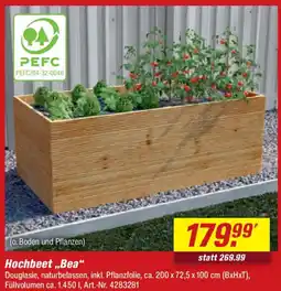 toom Baumarkt Hochbeet,,Bea" Angebot