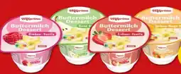 PENNY Milprima Buttermilch Dessert Angebot
