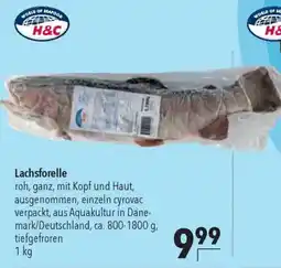 CITTI Markt H&C Lachsforelle Angebot