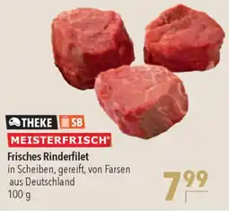 CITTI Markt MEISTERFRISCH Frisches Rinderfilet Angebot