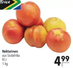 CITTI Markt Nektarinen Angebot