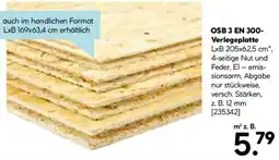 Hellweg OSB 3 EN 300 Verlegeplatte Angebot