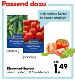 Hellweg Kiepenkerl-Saatgut Angebot