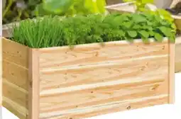 Hellweg Hochbeet Angebot