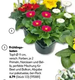 Hellweg Frühlingsboten Angebot