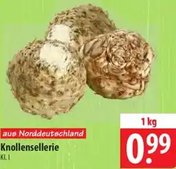 Famila Nord Ost Knollensellerie Angebot