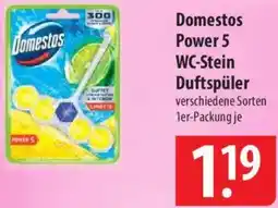Famila Nord Ost Domestos Power 5 WC-Stein Duftspüler Angebot
