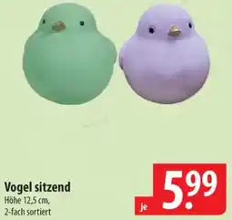 Famila Nord Ost Vogel sitzend Angebot