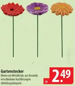 Famila Nord Ost Gartenstecker Angebot