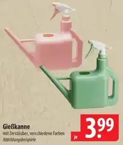 Famila Nord Ost Gieẞkanne Angebot
