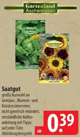 Famila Nord Ost Saatgut Angebot