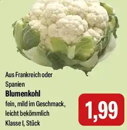 Feneberg Blumenkohl Angebot