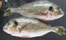 Handelshof Dorade Royale Angebot