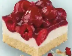 Handelshof Erlenbacher Himbeer-Quark-Schnitte tiefgefroren Angebot