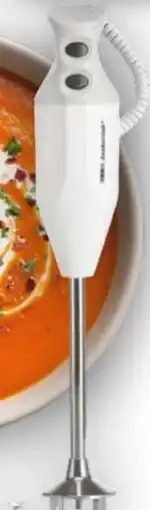 Handelshof Esge Zauberstab Stabmixer P 200 Profi Angebot