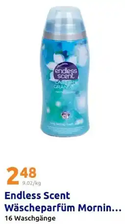 Action Endless Scent Wäscheparfüm Mornin Angebot