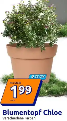 Action Blumentopf Chloe Angebot