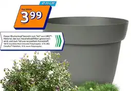 Action Blumentopf Chloe Angebot