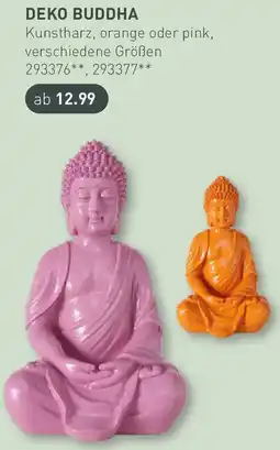 Möbel Martin Deko Buddha Angebot