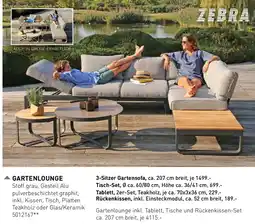 Möbel Martin Gartenlounge Angebot