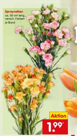 Netto Marken-Discount Spraynelken Angebot