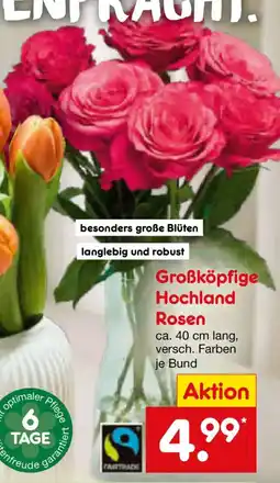 Netto Marken-Discount Großköpfige Hochland Rosen Angebot
