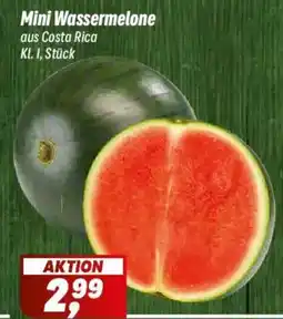 Simmel Mini Wassermelone Angebot