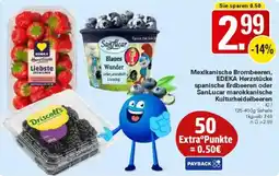 WEZ Mexikanische Brombeeren, EDEKA Herzstücke spanische Erdbeeren oder SanLucar marokkanische Kulturheidelbeeren Angebot