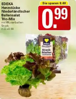WEZ EDEKA Herzstücke Niederländischer Ballensalat Trio-Mix Angebot