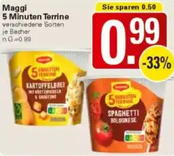WEZ Maggi 5 Minuten Terrine Angebot