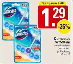 WEZ Domestos WC-Stein Angebot