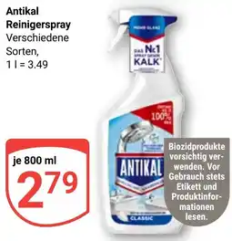 Globus Antikal Reinigerspray Angebot