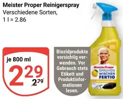 Globus Meister Proper Reinigerspray Angebot