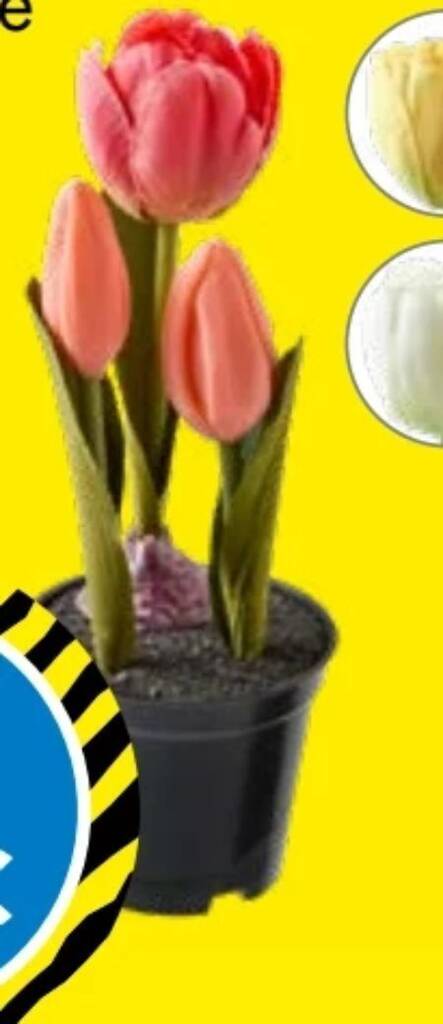Kunstblumen 1 stk Angebot bei TEDi