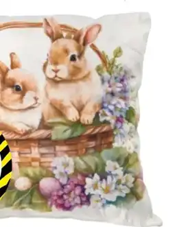 TEDi Oster Dekokissen Angebot