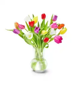 Kaufland Tulpenstrauß XL Angebot